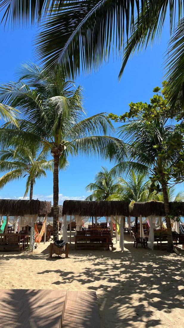 Coqueiros e ombrelones na praia